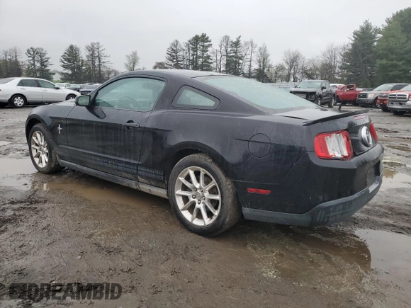 2010 Ford Mustang V6 with VIN 1ZVBP8AN3A5112855, listed as a Copart auction lot 49824275 with 161,778 mi miles and Salvage Title. Bid and sale history available at DreamBid. Image 2.