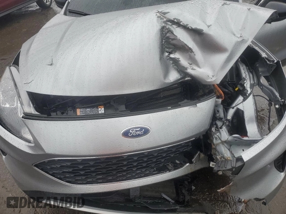 2022 Ford Escape SE with VIN 1FMCU9G61NUC02650, listed as a Copart auction lot 81252904 with Not provided miles and Non repairable. Bid and sale history available at DreamBid. Image 12.