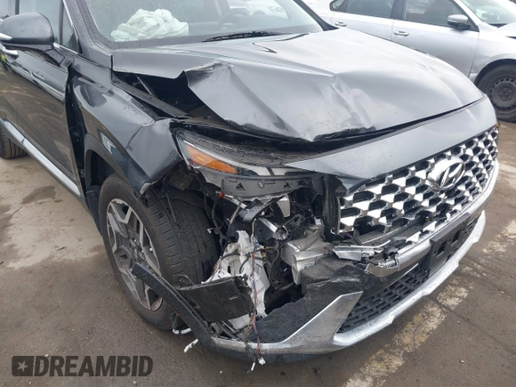 2023 Hyundai Santa Fe Limited with VIN 5NMS5DA19PH013204, listed as a IAAI auction lot 41909727 with 17,206 mi miles and . Bid and sale history available at DreamBid. Image 6.