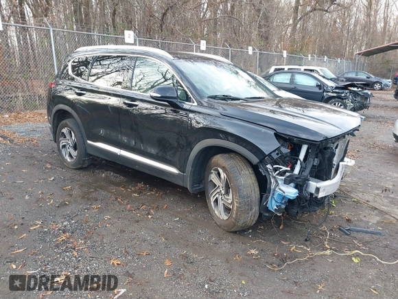2023 Hyundai Santa Fe SEL with VIN 5NMS3DAJ3PH504079, listed as a IAAI auction lot 41142971 with 30,164 mi miles and . Bid and sale history available at DreamBid. Image 1.