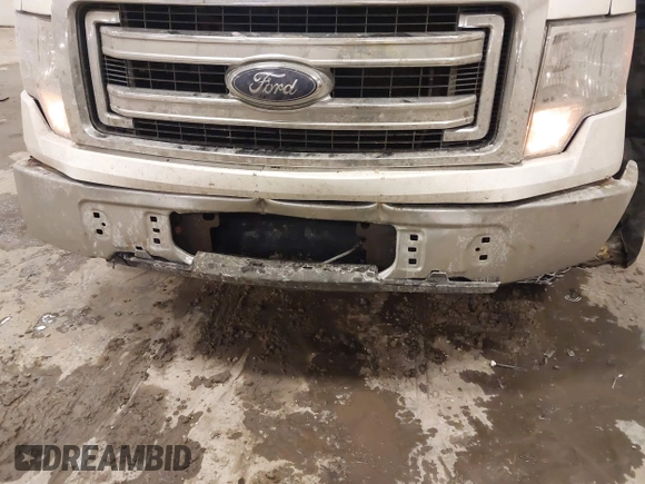 2013 Ford F-150 XL with VIN 1FTEX1CM8DFD14097, listed as a IAAI auction lot 41397500 with 181,838 mi miles. Bid and sale history available at carsss.com. Image 6.