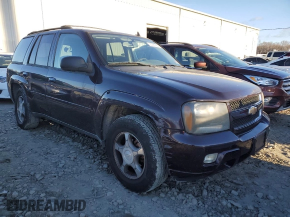 2008 Chevrolet TrailBlazer 1LT with VIN 1GNDT13S282213101, listed as a Copart auction lot 83969364 with 122,477 mi miles and Salvage Title. Bid and sale history available at DreamBid. Image 4.