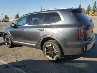 2024 Kia Telluride EX with VIN 5XYP34GC5RG475017, listed as a Copart auction lot 46748665 with 9,087 mi miles and Salvage Title. Bid and sale history available at DreamBid. Image 2.