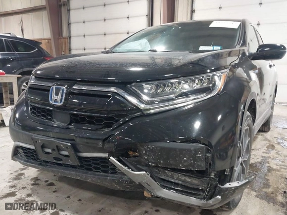 2022 Honda CR-V Hybrid EX-L with VIN 5J6RT6H80NL049646, listed as a IAAI auction lot 41555545 with 31,567 mi miles. Bid and sale history available at carsss.com. Image 6.
