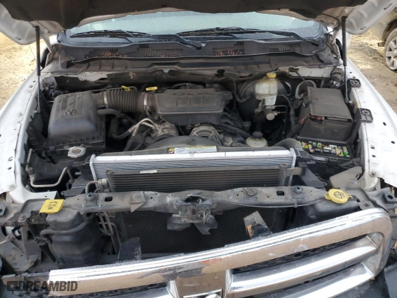 2010 Dodge Ram 1500 ST with VIN 1D7RB1GP3AS172254, listed as a Copart auction lot 44144875 with 269,659 mi miles and Salvage Title. Bid and sale history available at carsss.com. Image 13.