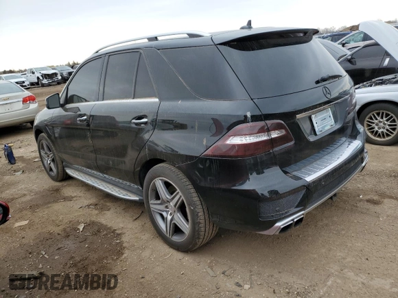 2013 Mercedes-Benz M with VIN 4JGDA7EB3DA213490, listed as a Copart auction lot 53736155 with 124,475 mi miles and Clean Title. Bid and sale history available at carsss.com. Image 2.