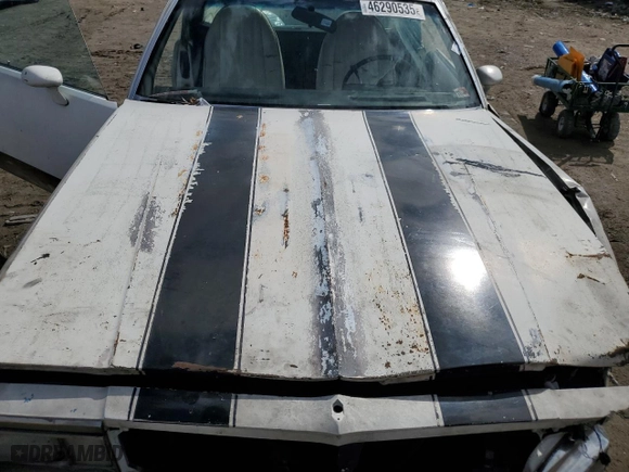 1981 Chevrolet El Camino with VIN 1GCCW80JXBD431816, listed as a Copart auction lot 46290535 with 22,666 mi miles and Salvage Title. Bid and sale history available at carsss.com. Image 12.