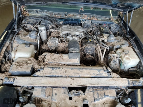 1987 Pontiac Firebird with VIN 1G2FS21S4HN213083, listed as a Copart auction lot 69101254 with 172,214 mi miles and Salvage title. Bid and sale history available at DreamBid. Image 11.
