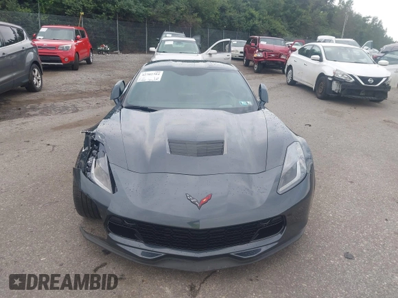 2019 Chevrolet Corvette Grand Sport 2LT with VIN 1G1YY2D7XK5117033, listed as a IAAI auction lot 42702384 with 11,994 mi miles and . Bid and sale history available at DreamBid. Image 12.