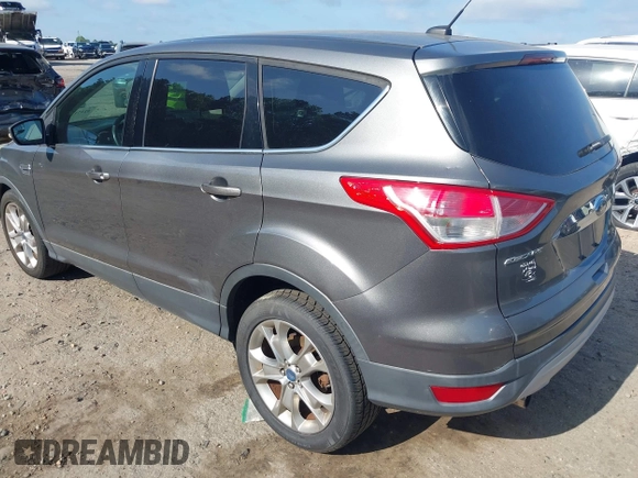 2013 Ford Escape SEL with VIN 1FMCU0H9XDUA14051, listed as a IAAI auction lot 42171703 with 193,988 mi miles. Bid and sale history available at carsss.com. Image 3.