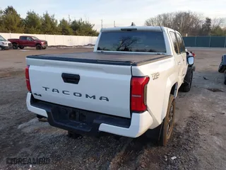 2024 Toyota Tacoma 4WD SR5 with VIN 3TMLB5JN4RM025976, listed as a IAAI auction lot 41073693 with 14,215 mi miles. Bid and sale history available at carsss.com. Image 4.