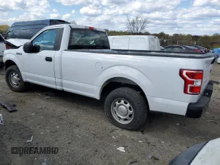2019 Ford F-150 XL with VIN 1FTMF1CB3KKD32329, listed as a Copart auction lot 49386435 with 219,055 mi miles and Salvage Title. Bid and sale history available at carsss.com. Image 2.