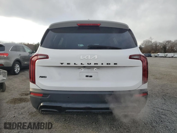 2022 Kia Telluride EX with VIN 5XYP3DHC3NG252841, listed as a Copart auction lot 81147994 with 50,481 mi miles and Salvage Title. Bid and sale history available at carsss.com. Image 6.