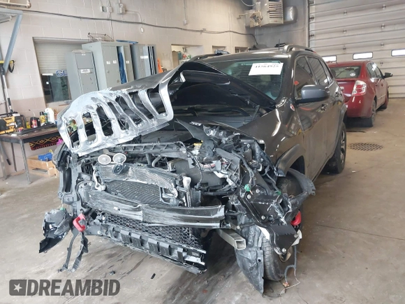 2016 Jeep Cherokee Trailhawk with VIN 1C4PJMBS2GW309042, listed as a IAAI auction lot 41564925 with 125,436 mi miles. Bid and sale history available at carsss.com. Image 18.