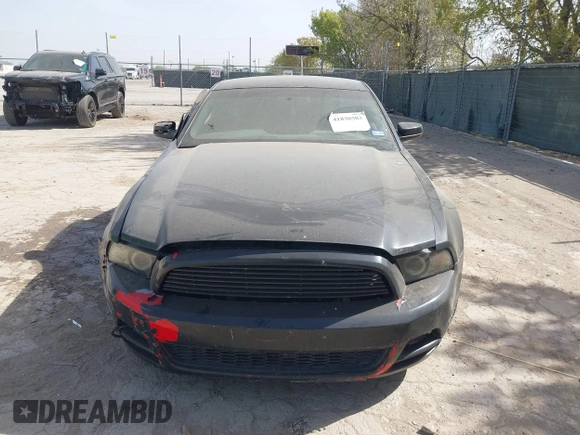 2013 Ford Mustang V6 with VIN 1ZVBP8AM5D5272067, listed as a IAAI auction lot 41830383 with 132,004 mi miles. Bid and sale history available at carsss.com. Image 12.