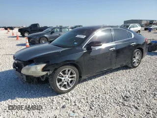 2009 Nissan Maxima SV with VIN 1N4AA51E69C808394, listed as a Copart auction lot 52935125 with 258,079 mi miles and Salvage Title. Bid and sale history available at DreamBid. Image 1.