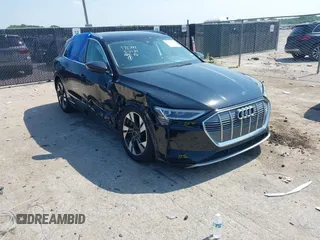 2022 Audi e-tron Premium Plus with VIN WA1LABGE6NB022565, listed as a IAAI auction lot 42402533 with 25,075 mi miles and . Bid and sale history available at DreamBid. Image 1.