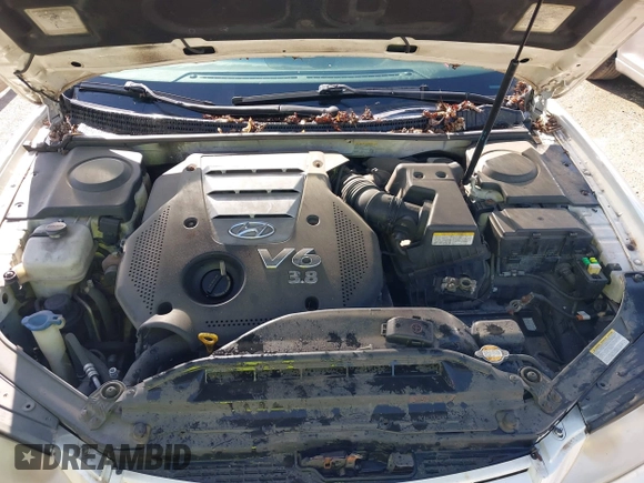 2006 Hyundai Azera SE with VIN KMHFC46F66A097045, listed as a IAAI auction lot 41998208 with 203,817 mi miles and . Bid and sale history available at DreamBid. Image 10.
