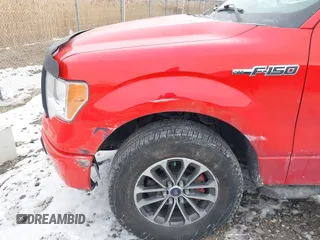 2013 Ford F-150 XL with VIN 1FTEX1CM7DKF48433, listed as a IAAI auction lot 41430785 with 179,579 mi miles. Bid and sale history available at carsss.com. Image 6.