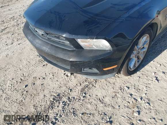 2010 Ford Mustang V6 with VIN 1ZVBP8AN0A5163231, listed as a IAAI auction lot 41876384 with 113,419 mi miles. Bid and sale history available at carsss.com. Image 6.