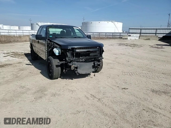 2013 Ford F-150 XL with VIN 1FTFX1EFXDFD26755, listed as a Copart auction lot 49045485 with 122,854 mi miles and Clean Title. Bid and sale history available at DreamBid. Image 11.