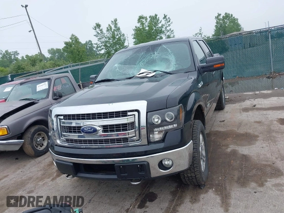 2014 Ford F-150 XL with VIN 1FTFW1ET9EFB75417, listed as a IAAI auction lot 42449180 with 219,028 mi miles and . Bid and sale history available at DreamBid. Image 12.