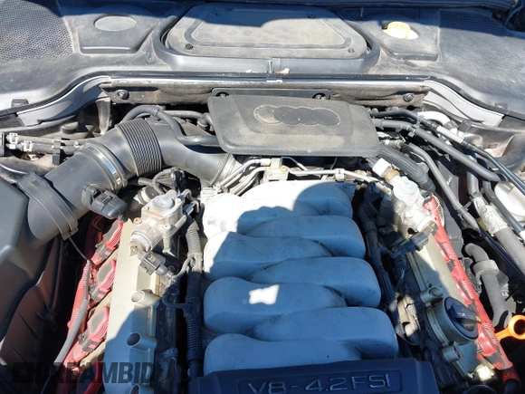 2008 Audi A8 with VIN WAULV94E98N011986, listed as a IAAI auction lot 41762596 with Not provided miles and . Bid and sale history available at DreamBid. Image 10.
