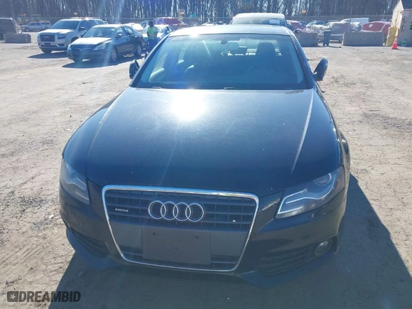 2011 Audi A4 2.0T Premium Plus with VIN WAUFFAFL1BN044298, listed as a IAAI auction lot 41773659 with 123,986 mi miles. Bid and sale history available at carsss.com. Image 6.