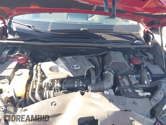 2021 Lexus NX 300 с VIN JTJDARBZ7M5024803, выставлен на аукционе IAAI как лот 41977539 с пробегом 61 200 миль миль и . История ставок и продаж доступна на DreamBid. Изображение 10.