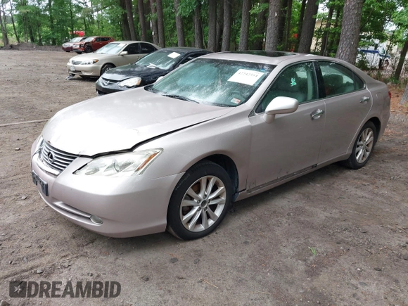 2008 Lexus ES 330 with VIN JTHBJ46G482203103, listed as a IAAI auction lot 42242354 with 117,025 mi miles and . Bid and sale history available at DreamBid. Image 2.