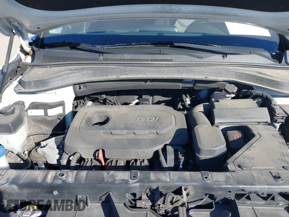 2019 Hyundai Santa Fe SE with VIN 5NMS2CAD5KH011357, listed as a IAAI auction lot 40918980 with 98,851 mi miles. Bid and sale history available at carsss.com. Image 10.