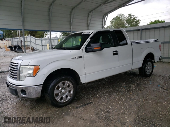 2011 Ford F-150 XL with VIN 1FTEX1CM2BFA84151, listed as a Copart auction lot 54936604 with 124,413 mi miles and Clean Title. Bid and sale history available at carsss.com. Image 1.