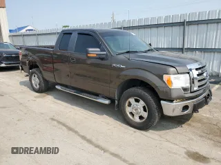 2009 Ford F-150 STX with VIN 1FTRX14849FA73732, listed as a Copart auction lot 59317545 with 162,744 mi miles and Salvage title. Bid and sale history available at DreamBid. Image 4.