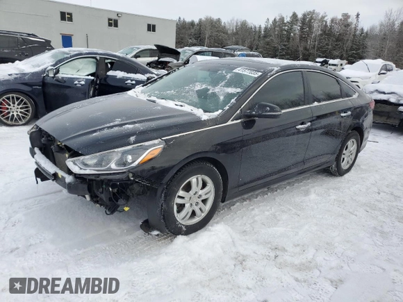 2019 Hyundai Sonata SEL with VIN 5NPE34AF0KH764377, listed as a Copart auction lot 41577035 with 120,134 mi miles and Salvage Title. Bid and sale history available at DreamBid. Image 1.