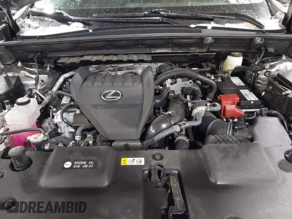 2022 Lexus NX with VIN 2T2AGCEZ3NC005386, listed as a IAAI auction lot 41537116 with 19,525 mi miles. Bid and sale history available at carsss.com. Image 10.