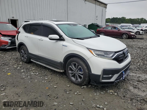 2020 Honda CR-V EX-L with VIN 7FART6H86LE017990, listed as a Copart auction lot 60563125 with 56,174 mi miles and Salvage title. Bid and sale history available at DreamBid. Image 4.