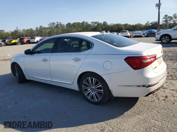 2014 Kia Cadenza Premium with VIN KNALN4D74E5138578, listed as a Copart auction lot 47606025 with 141,668 mi miles and Salvage Title. Bid and sale history available at DreamBid. Image 2.