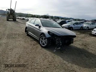 2019 Hyundai Sonata SEL with VIN 5NPE34AFXKH787519, listed as a Copart auction lot 46860055 with 43,511 mi miles and Salvage Title. Bid and sale history available at DreamBid. Image 10.