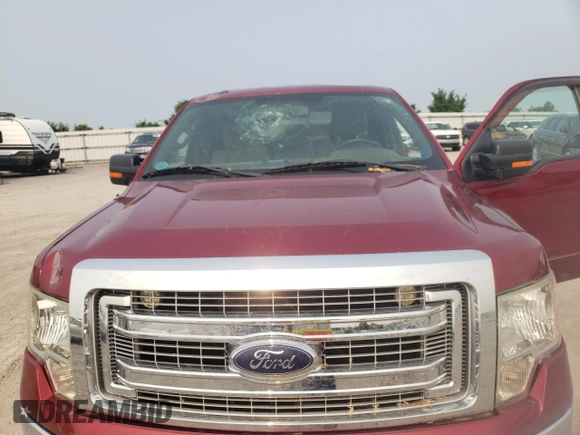 2013 Ford F-150 XL with VIN 1FTFX1CF6DFB51214, listed as a Copart auction lot 59024575 with 82,024 mi miles and Salvage title. Bid and sale history available at DreamBid. Image 11.