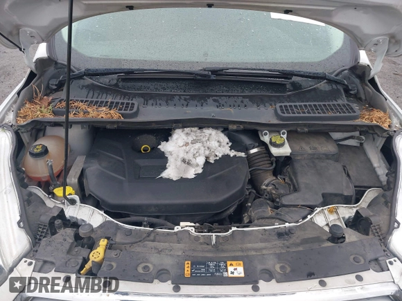 2017 Ford Escape SE z VIN 1FMCU9G95HUA24739, wystawiony jako IAAI lot #41880800 z przebiegiem 164 285 mil mil oraz . Historia ofert i sprzedaży dostępna na DreamBid. Obrazek 10.