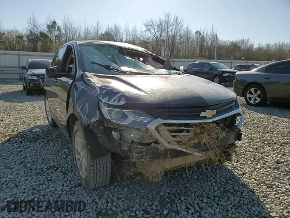 2019 Chevrolet Equinox LS with VIN 3GNAXHEV3KL400232, listed as a Copart auction lot 48299705 with 99,901 mi miles and Salvage Title. Bid and sale history available at carsss.com. Image 12.