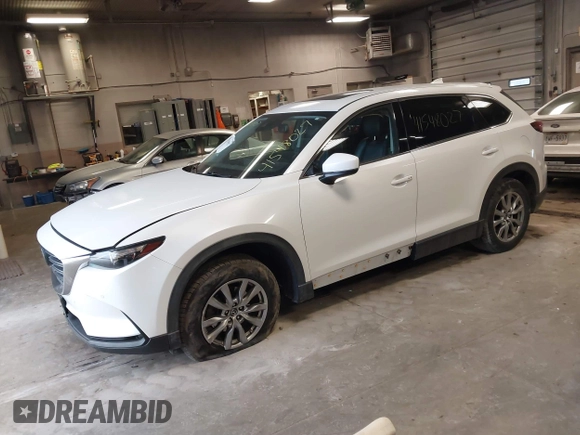 2018 Mazda CX-9 Touring with VIN JM3TCBCY5J0234466, listed as a IAAI auction lot 41548027 with 96,016 mi miles. Bid and sale history available at carsss.com. Image 18.