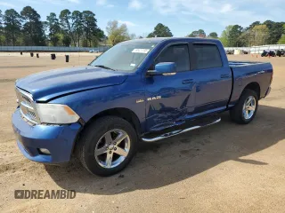 2009 Dodge 1500 SLT with VIN 1D3HB13TX9S756436, listed as a Copart auction lot 50421785 with 143,314 mi miles and Salvage Title. Bid and sale history available at DreamBid. Image 1.