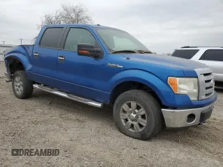 2009 Ford F-150 XL with VIN 1FTRW14839KB36488, listed as a Copart auction lot 44341515 with 243,748 mi miles and Salvage Title. Bid and sale history available at DreamBid. Image 4.