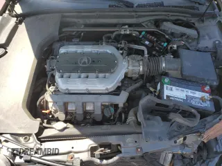 2009 Acura TL Tech with VIN 19UUA86519A003840, listed as a Copart auction lot 52365865 with 256,973 mi miles and Clean Title. Bid and sale history available at carsss.com. Image 11.