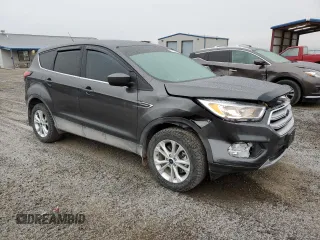 2019 Ford Escape SE with VIN 1FMCU9GD9KUA21466, listed as a Copart auction lot 81195894 with 29,894 mi miles and Salvage Title. Bid and sale history available at carsss.com. Image 4.