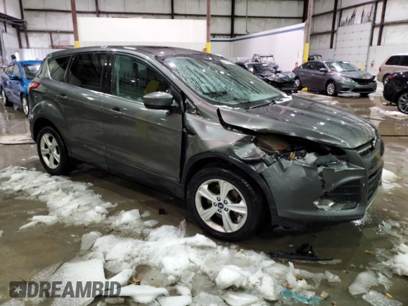 2014 Ford Escape SE with VIN 1FMCU0G99EUA28333, listed as a Copart auction lot 41561195 with 107,679 mi miles and Salvage Title. Bid and sale history available at carsss.com. Image 4.