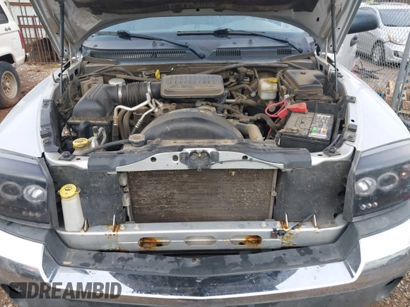 2005 Dodge Dakota SLT with VIN 1D7HE48K25S232893, listed as a IAAI auction lot 41932773 with 209,459 mi miles and . Bid and sale history available at DreamBid. Image 10.
