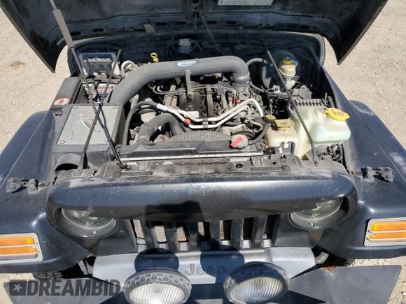 2004 Jeep Wrangler Sahara with VIN 1J4FA59SX4P718591, listed as a Copart auction lot 59907805 with 241,994 mi miles and Clean title. Bid and sale history available at DreamBid. Image 11.