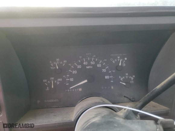 1993 Chevrolet C/K 1500 with VIN 1GCDC14Z7PZ149647, listed as a Copart auction lot 46695925 with 290,402 mi miles and Clean Title. Bid and sale history available at carsss.com. Image 9.